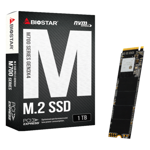 SSD BIOSTAR M700-1TB