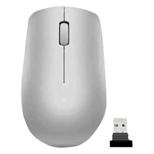 Lenovo 530 Wireless Mouse (Platinum Grey) (GY50Z18984)