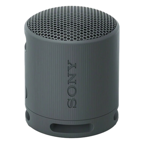 Sony SRS-XB100 black